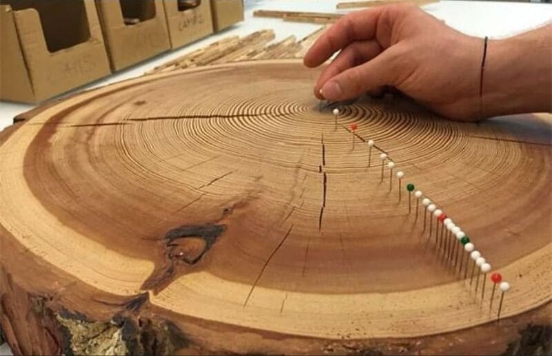 _Innovación en el mecanizado de la madera- Descubre la Dendroclimatología-2